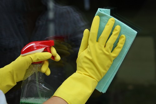 Professional Kingston cleaners starting a detailed cleaning service
