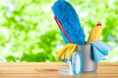 Regular cleaning of a bright and tidy living room