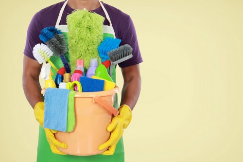 Domestic cleaning in a modern living room