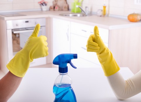 Professional one off cleaning of a bright living room