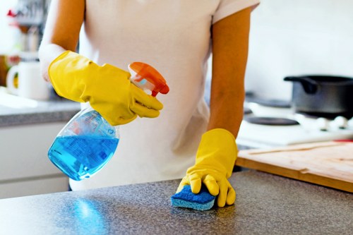 Professional regular cleaning of a commercial workspace
