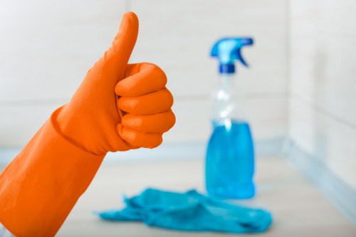 Bathroom domestic cleaning and sanitation tasks