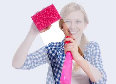Cleaning team providing thorough Kingston cleaning services