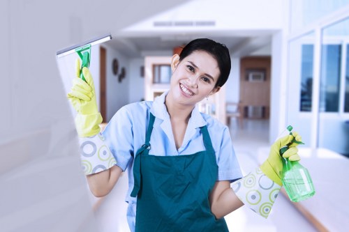 Kingston cleaners focusing on deep cleaning tasks in a room