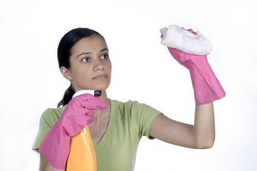 Professional domestic cleaning service in a tidy home