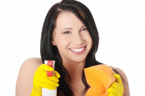 Professional cleaning support for homes and businesses in Kingston