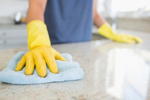 Professional domestic cleaning tools for home care