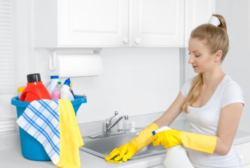 Kitchen domestic cleaning routine with organized surfaces